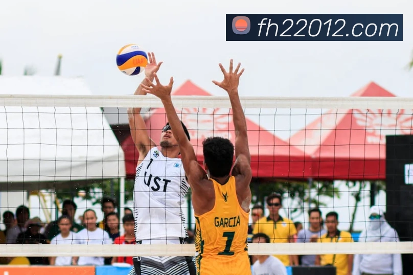 凤凰彩票品牌故事